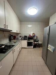 Lorong H Telok Kurau (D15), Terrace #482583281